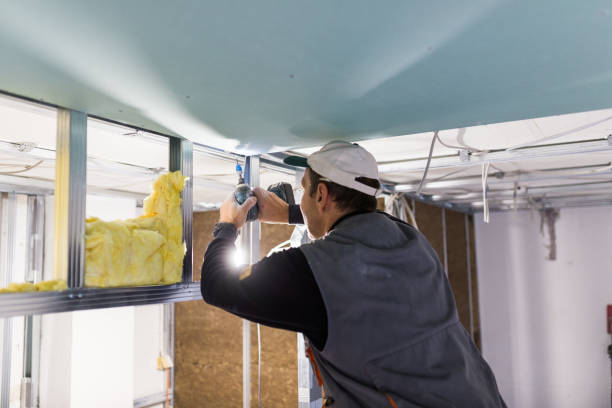 Best Insulation Maintenance and Repair in St Peter, MN