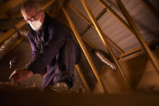 Best Residential Insulation in St Peter, MN
